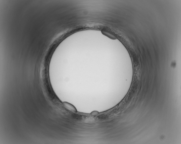 X0000116390587201001131831