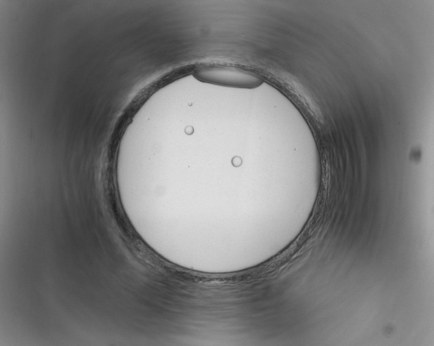 X0000116390588201001131831