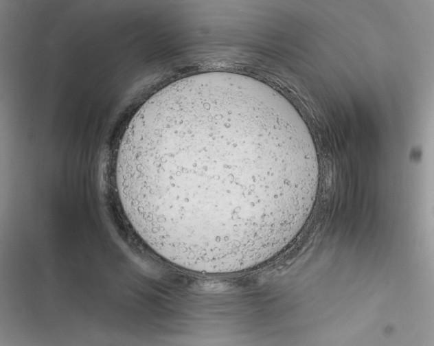 X0000116390590201001131831