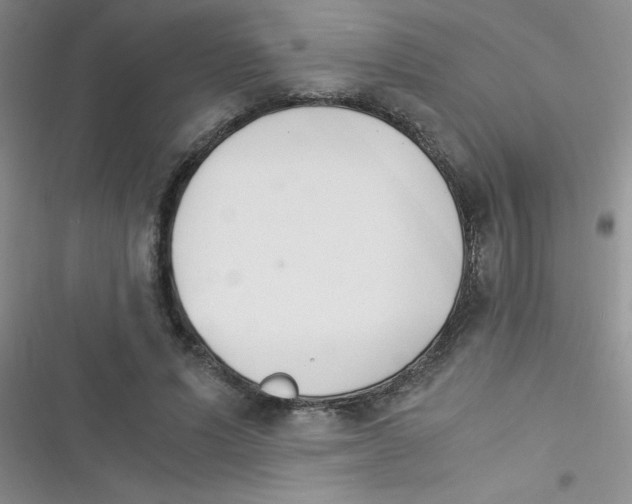 X0000116390591201001131831