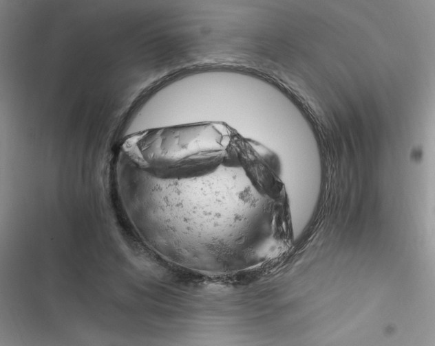 X0000116390592201001131831