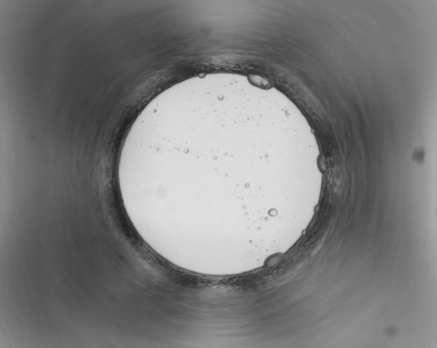 X0000116390593201001131831