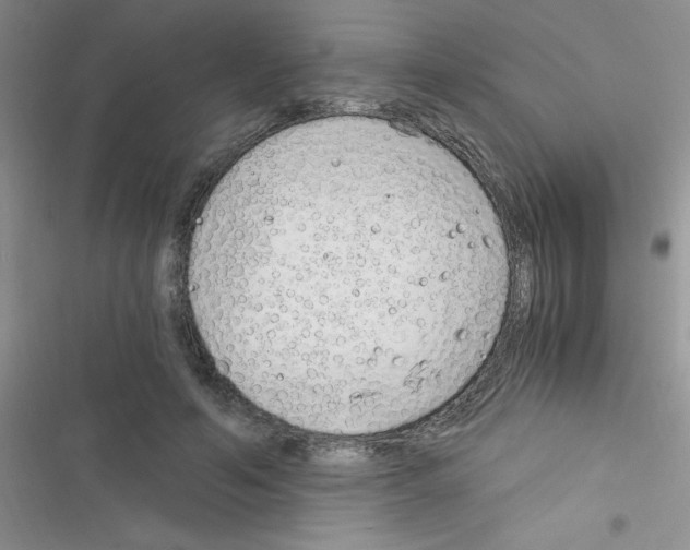 X0000116390594201001131831