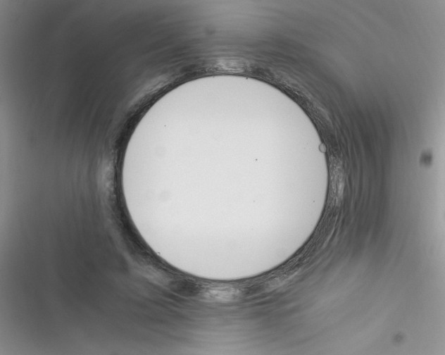 X0000116390595201001131831