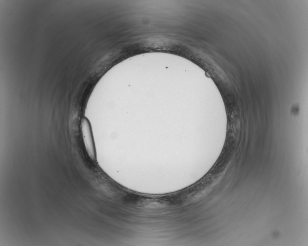 X0000116390597201001131831