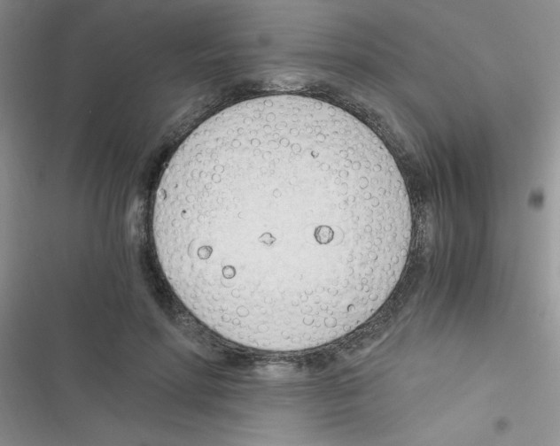 X0000116390598201001131831