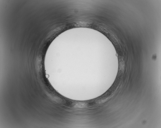 X0000116390599201001131831