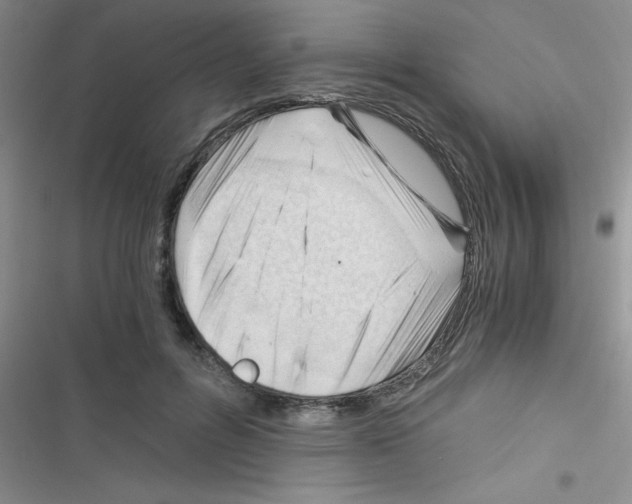 X0000116390600201001131831