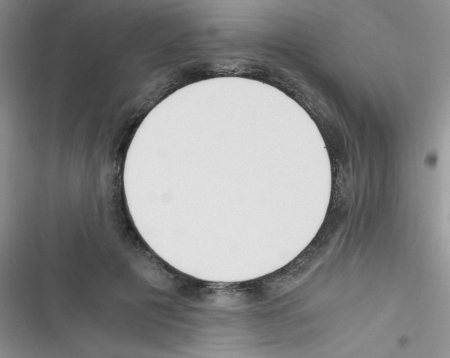 X0000116390601201001131831