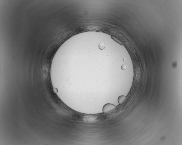 X0000116390602201001131831