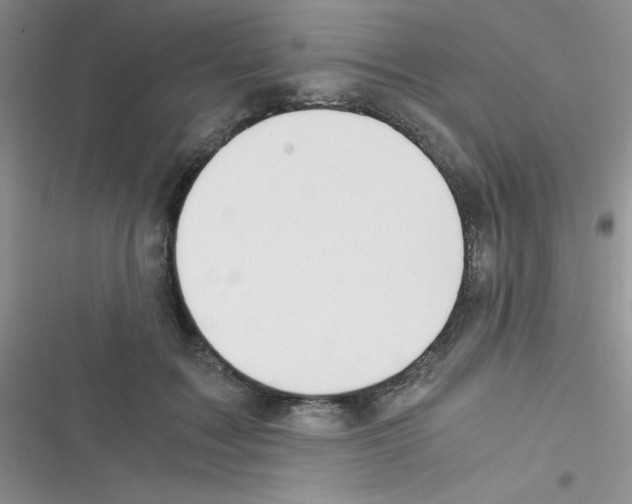X0000116390603201001131831