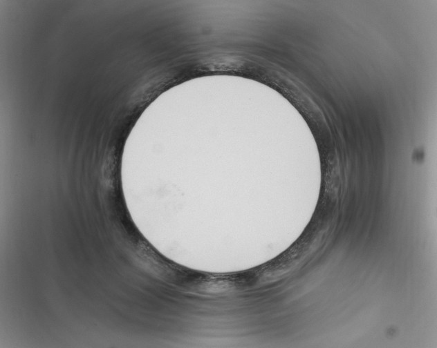 X0000116390604201001131831