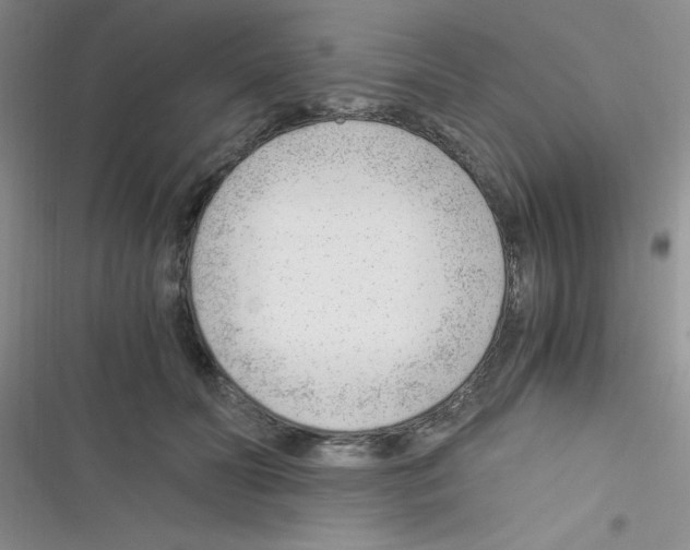 X0000116390606201001131831
