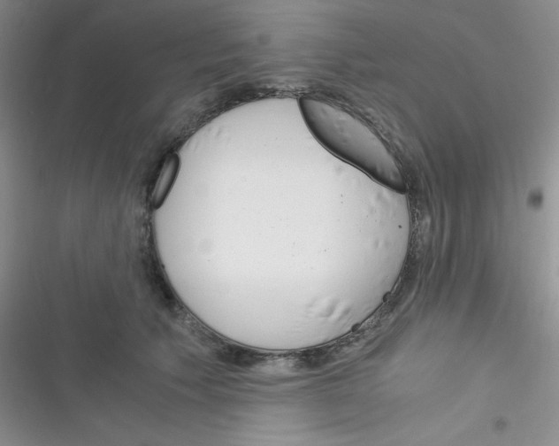 X0000116390609201001131831