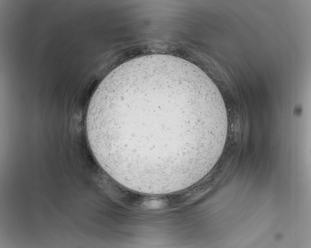 X0000116390610201001131831