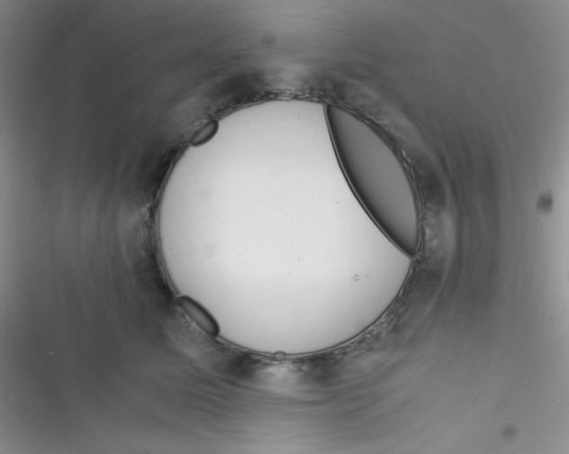 X0000116390611201001131831
