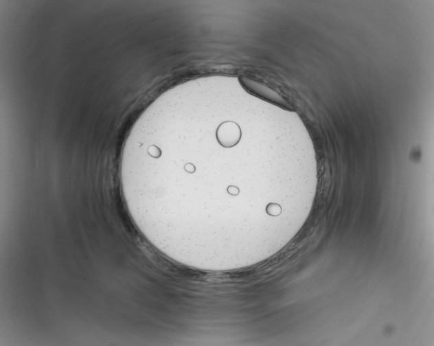 X0000116390612201001131831