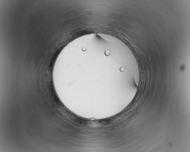 X0000116390613201001131831