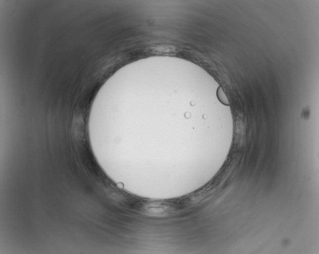 X0000116390614201001131831