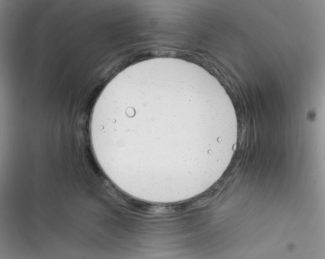 X0000116390616201001131831