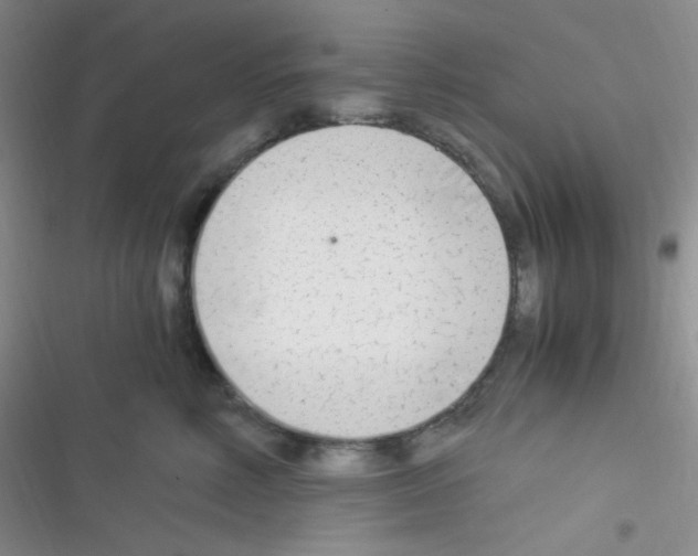 X0000116390618201001131831