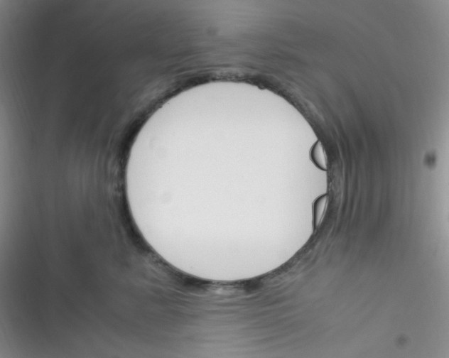 X0000116390619201001131831