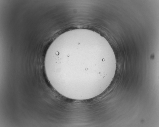 X0000116390620201001131831