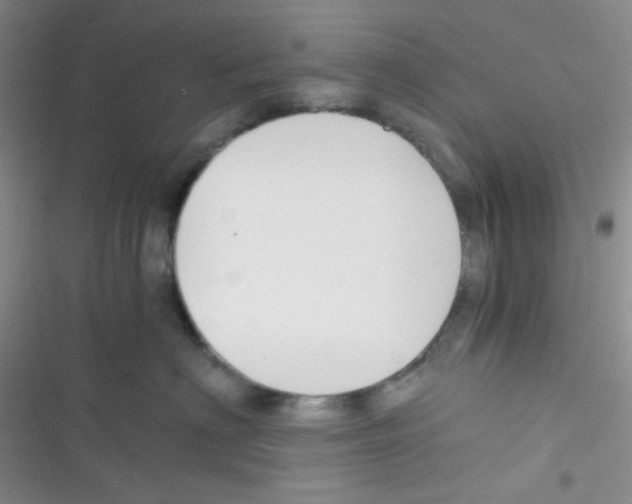 X0000116390622201001131831