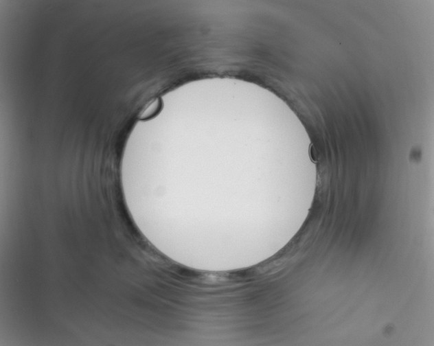X0000116390623201001131831