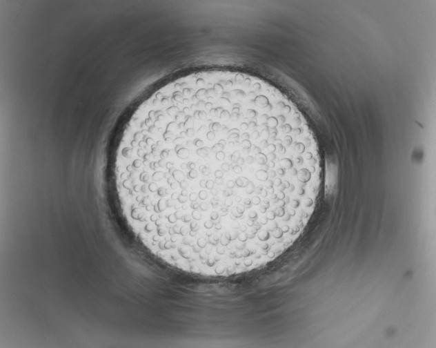 X0000116390627201001131830