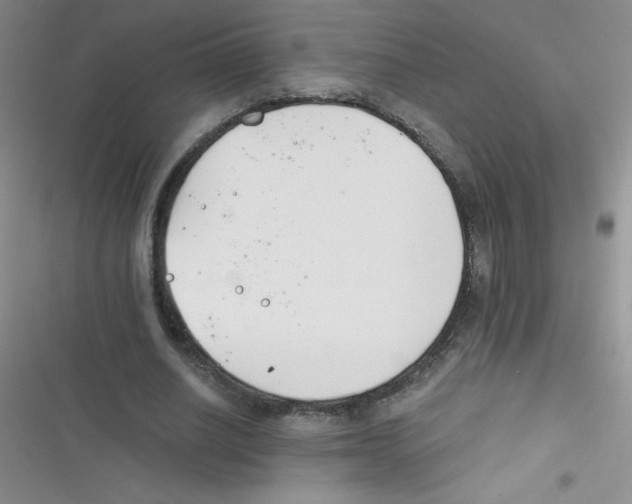 X0000116390630201001131830