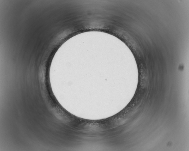 X0000116390631201001131830