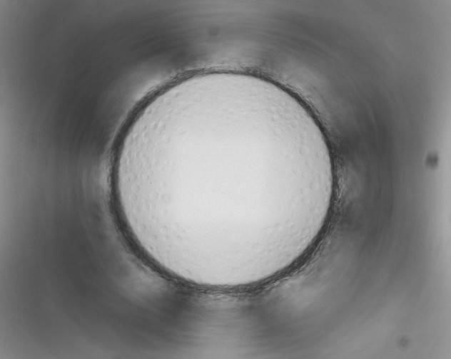 X0000116390632201001131830