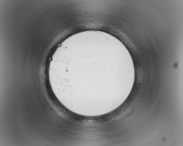 X0000116390634201001131830