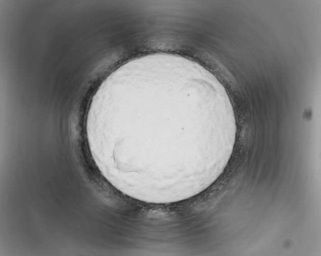 X0000116390635201001131830