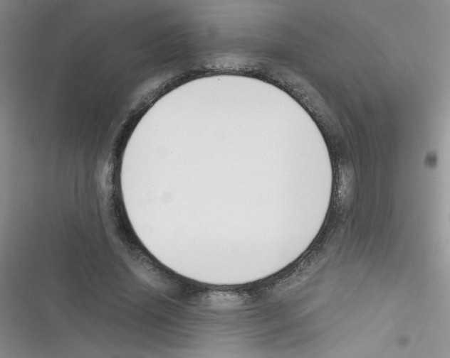 X0000116390636201001131830