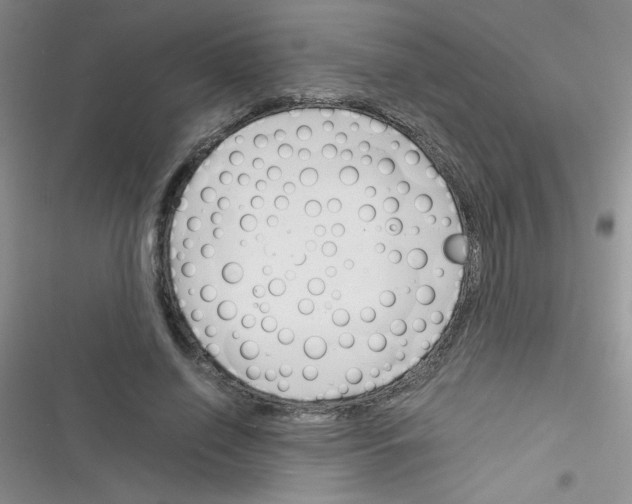 X0000116390638201001131830