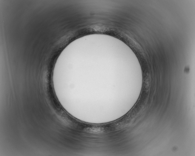 X0000116390639201001131830