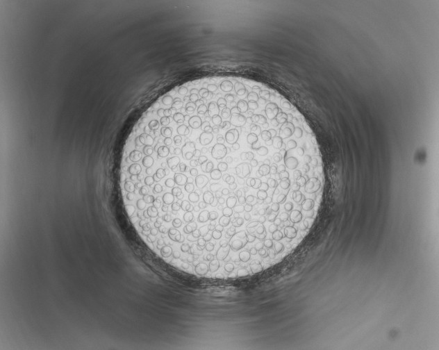 X0000116390642201001131831