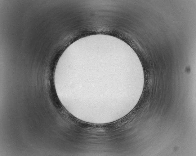 X0000116390643201001131831