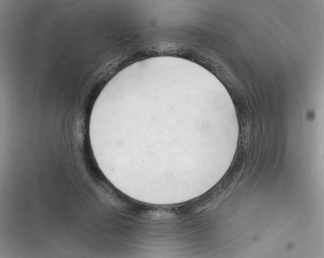 X0000116390644201001131831
