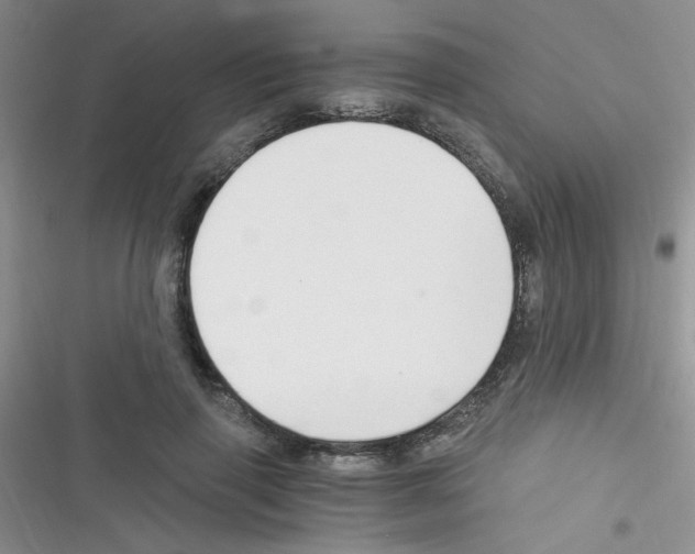 X0000116390645201001131831