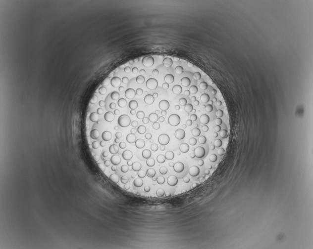 X0000116390646201001131831