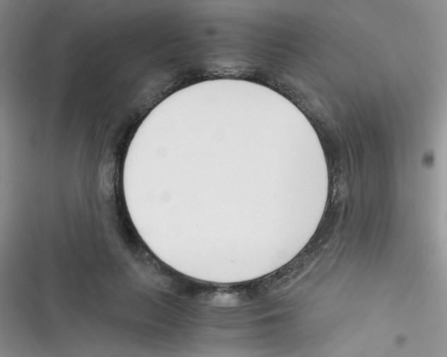 X0000116390647201001131831