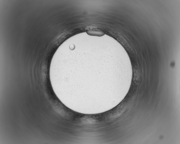 X0000116390648201001131831