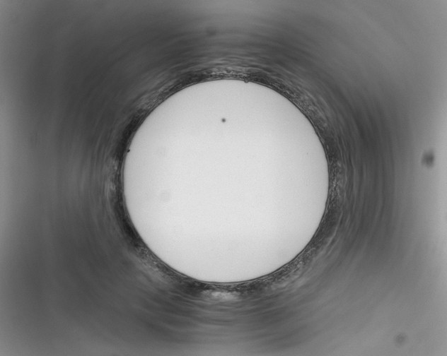 X0000116390649201001131831
