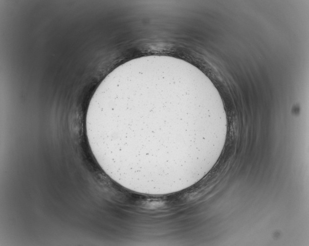 X0000116390651201001131831