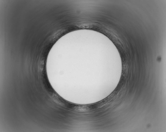 X0000116390652201001131831