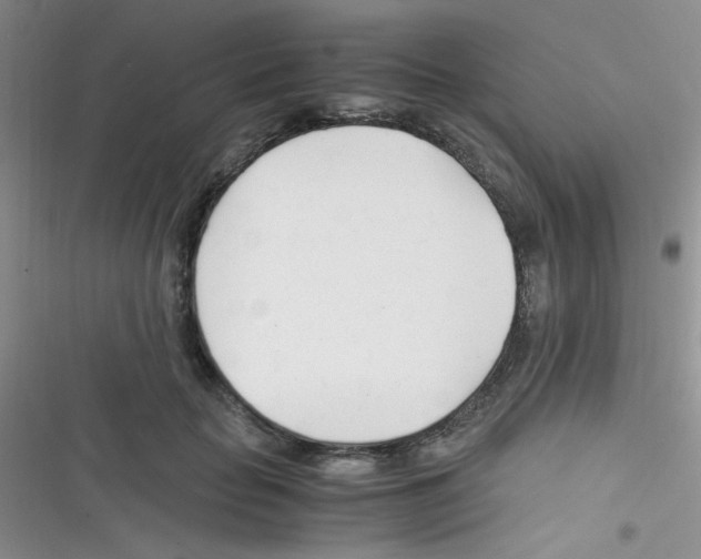 X0000116390653201001131831