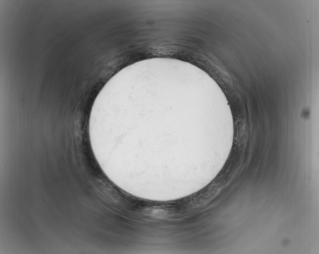 X0000116390655201001131831